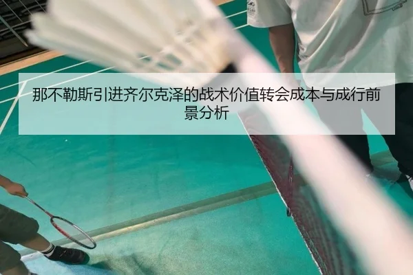 那不勒斯引进齐尔克泽的战术价值转会成本与成行前景分析